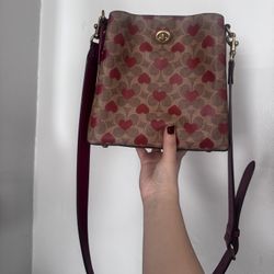 Heart Bucket Tote Bag Coach 