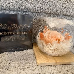 Preserved Roses in Glass Dome with Scented - Romantic Preserved Flower for Women, Champagne