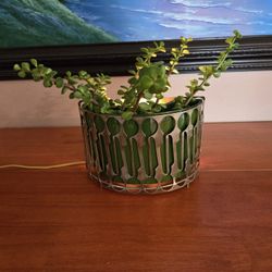 1950 Planter Lights Up