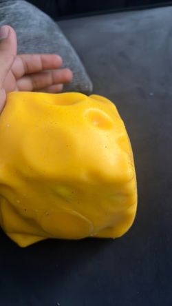 Cheese squishy
