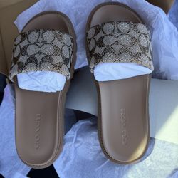 coach slides 