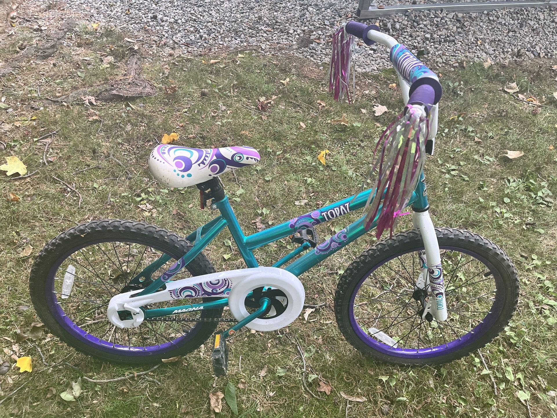 Girls Bike 18 Inch