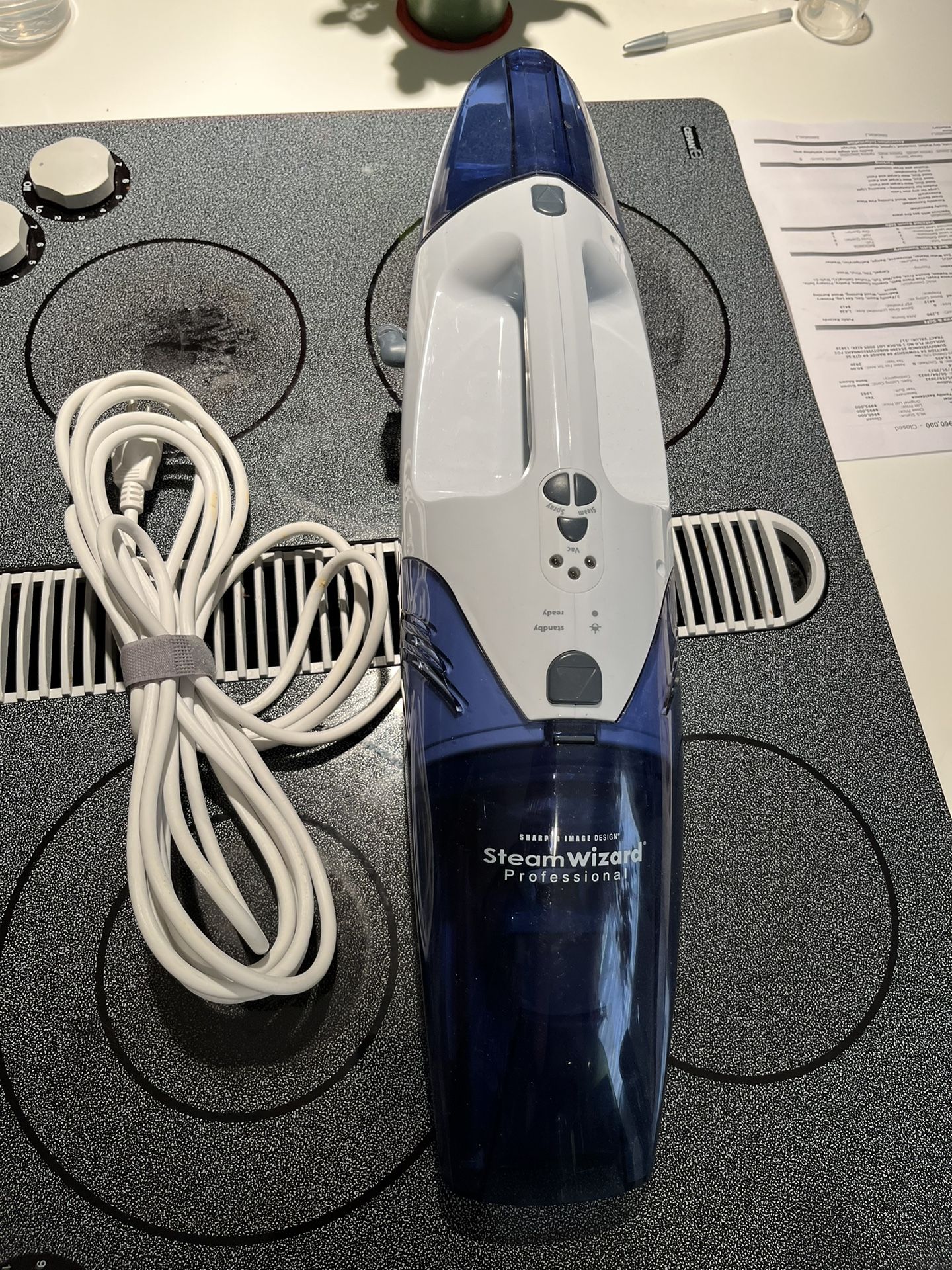 Sharper Image Steam Wizard/Professional