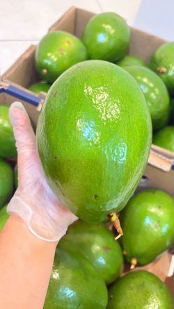 🥑✨ Premium Large Avocados — $4 Each! ✨🥑