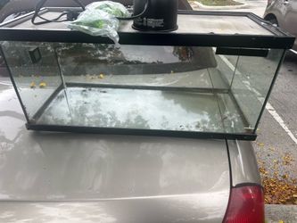 20 gallon long terranium, comes with top, light and decor