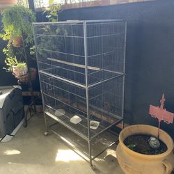 Bird Cage