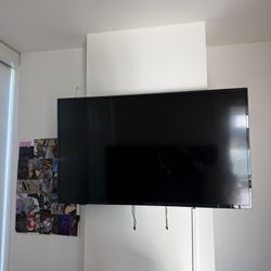 50in Insignia TV