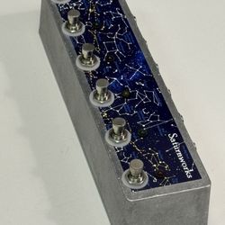 Saturnworks True Bypass Multi Looper