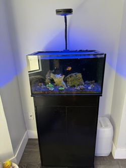 20 Gallon Aquarium With Light And Stand