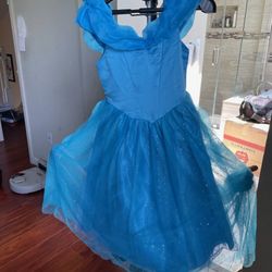 6-7 Year Princess Costume