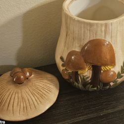 1977 Vintage Mushroom Canister 