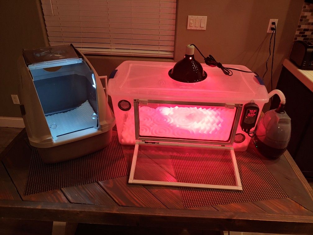 Dog/small animal incubators