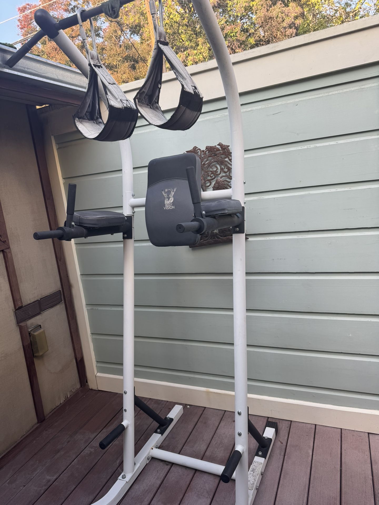 BodyVision Ab And Pull Up Cage