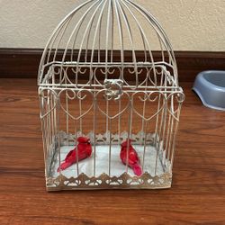 Bird Cage 