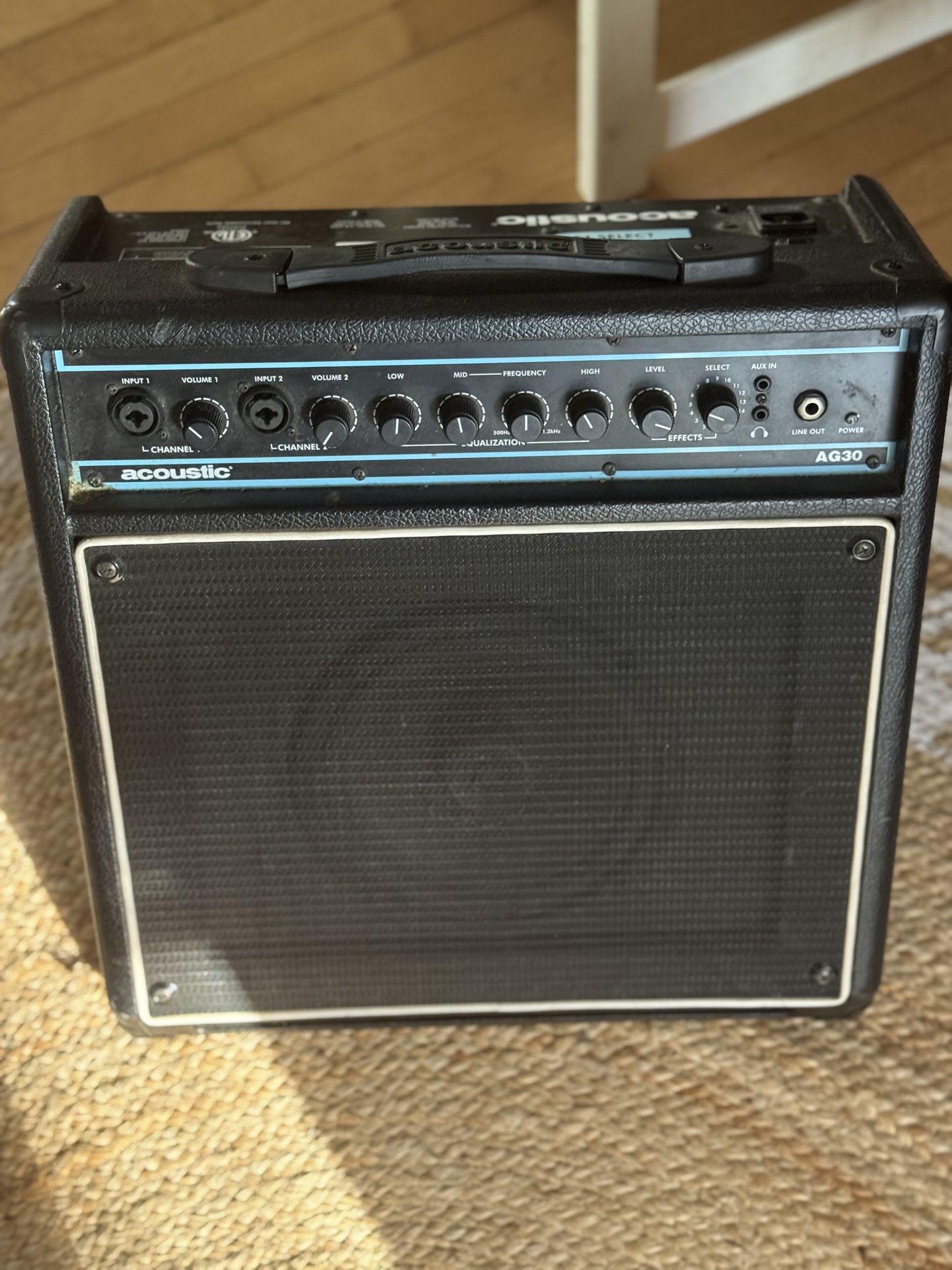 Guitar Amp / Gig Amp / Sound System
