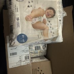 Honest Training Diapers