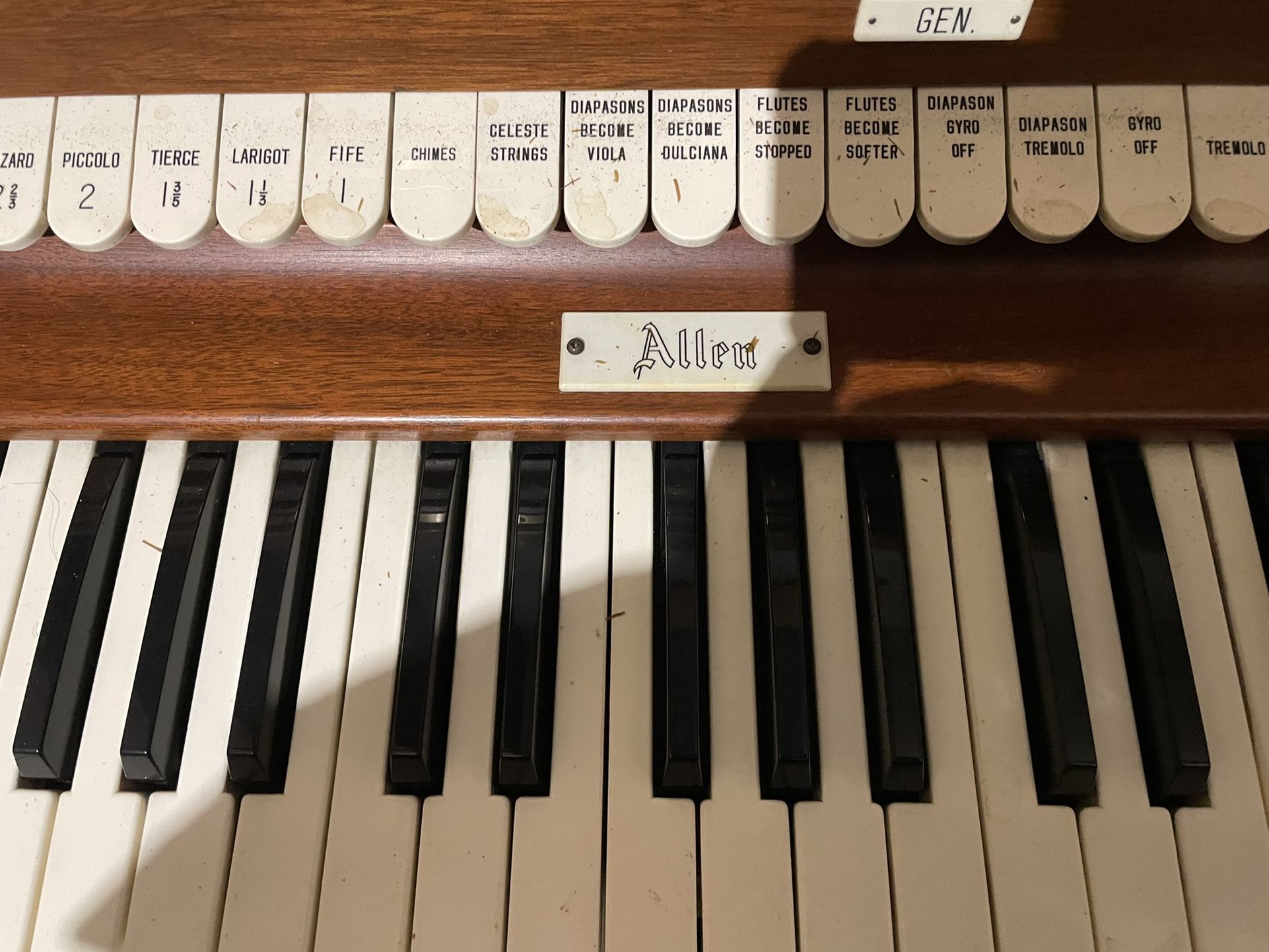 FREE ORGAN