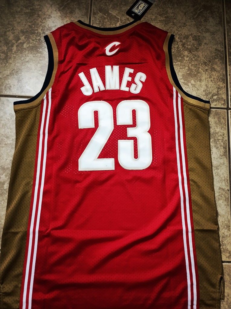 LeBron James Jersey