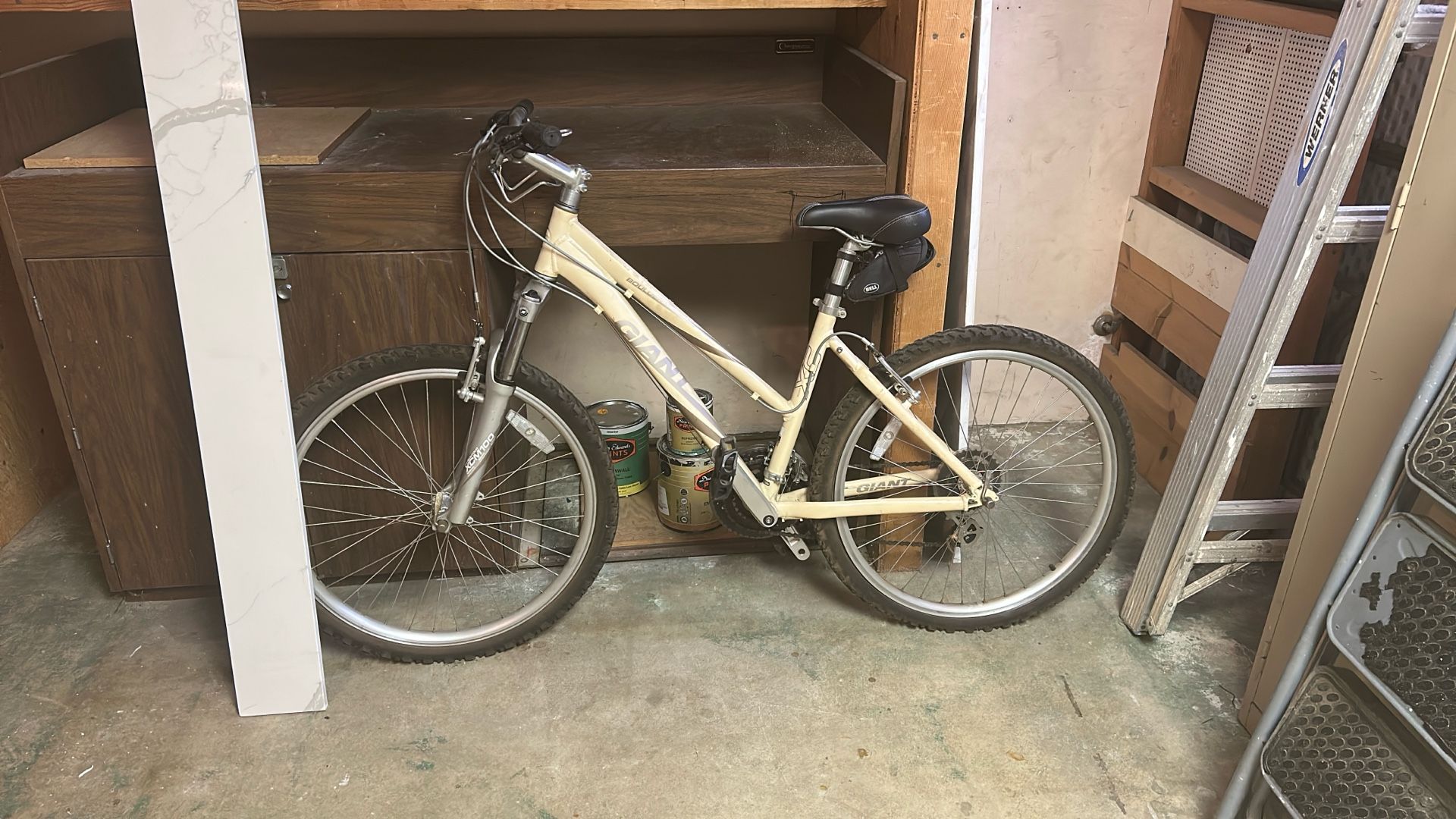Giant Mountain Bike