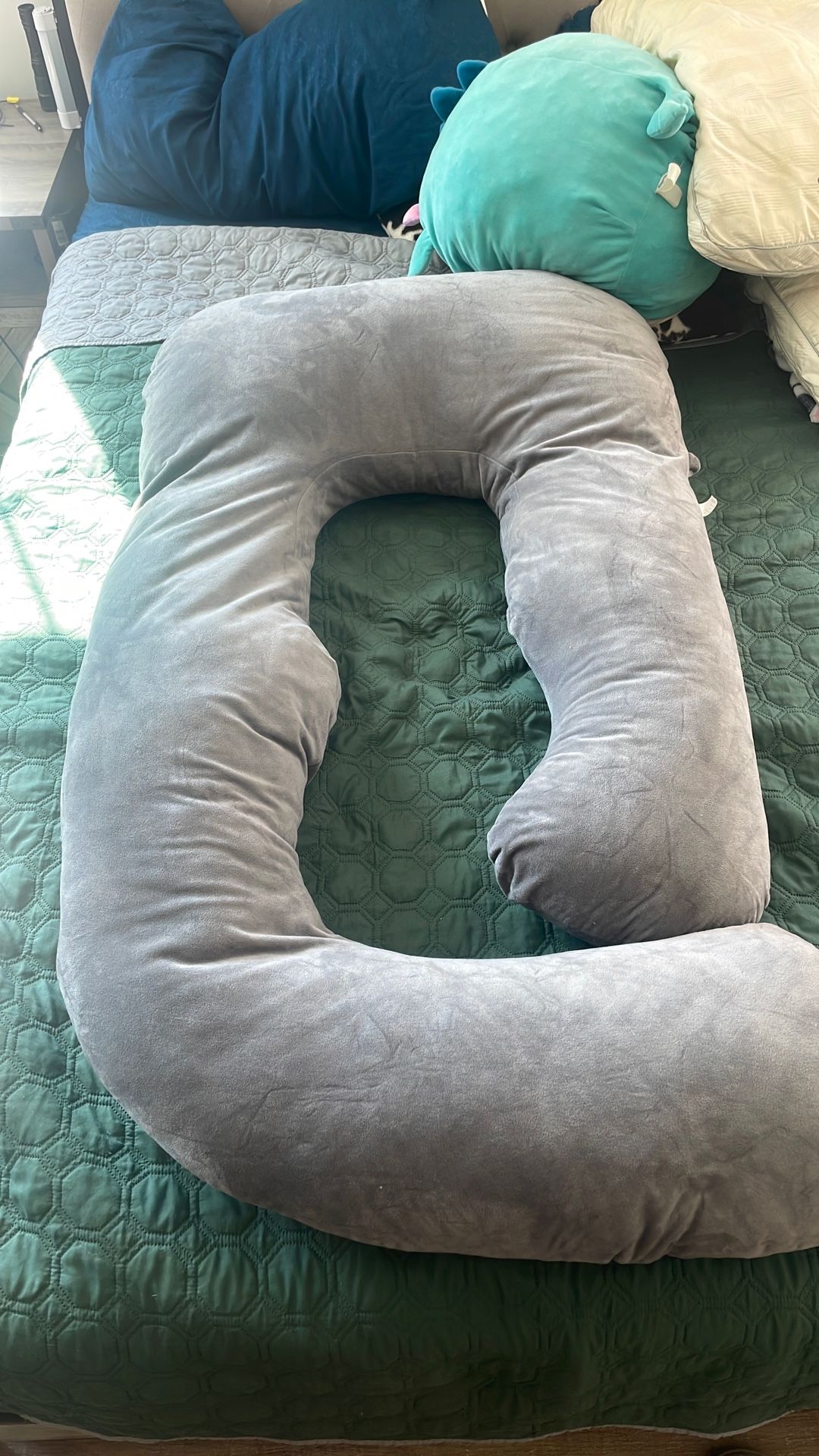 Pillow/Pregnancy pillow