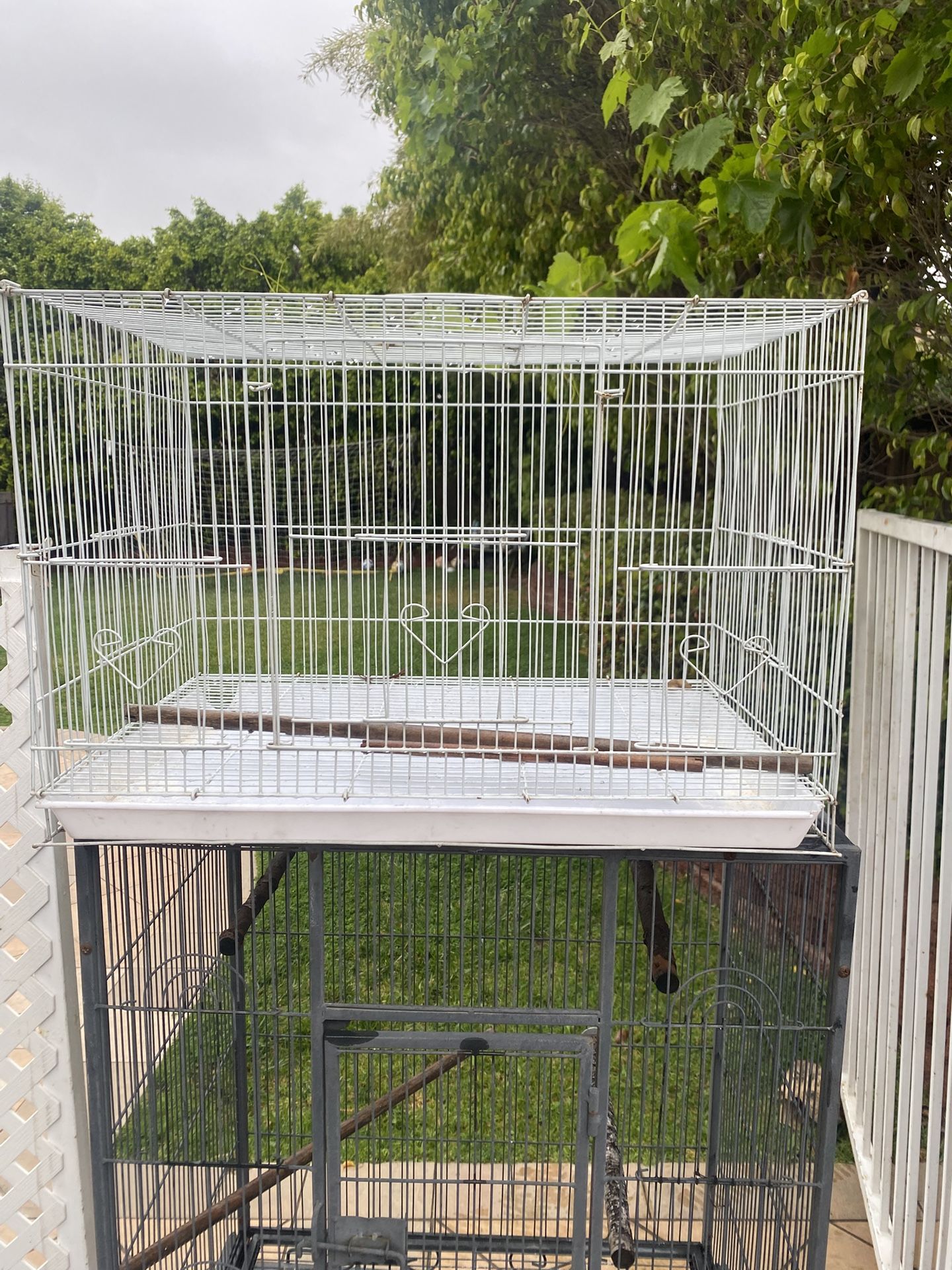 Bird Cage