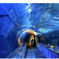 Aquarium Of The Bay Tickets Today!