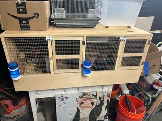 Kikiriki cages