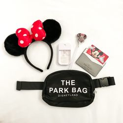 Custom Disney Bag - Disneyland Bag