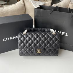 Chanel Double Flap Purse Bag