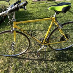 Schwinn Le Tour Bike
