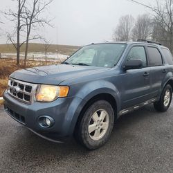 2010 Ford Escape