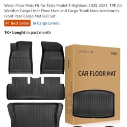Tesla Floor Mats 