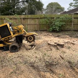 Stump Grinding 