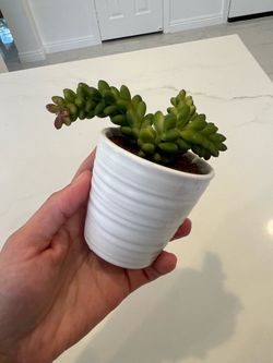 Small faux decor