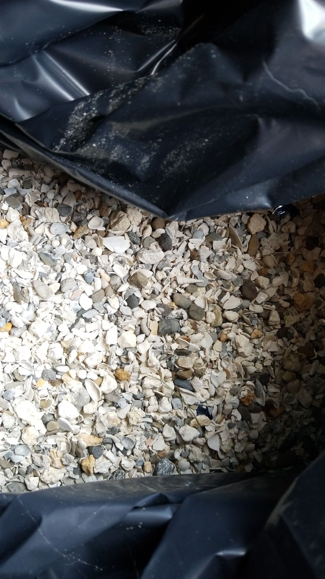 High ph aquarium gravel/shells