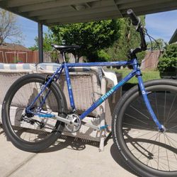 Cafe Cruiser Bike, Carbon Wheels 