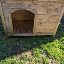 Collapsible Dog House 