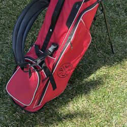 [LIKE NEW] Ping golf stand bag