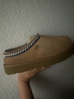 tasman uggs