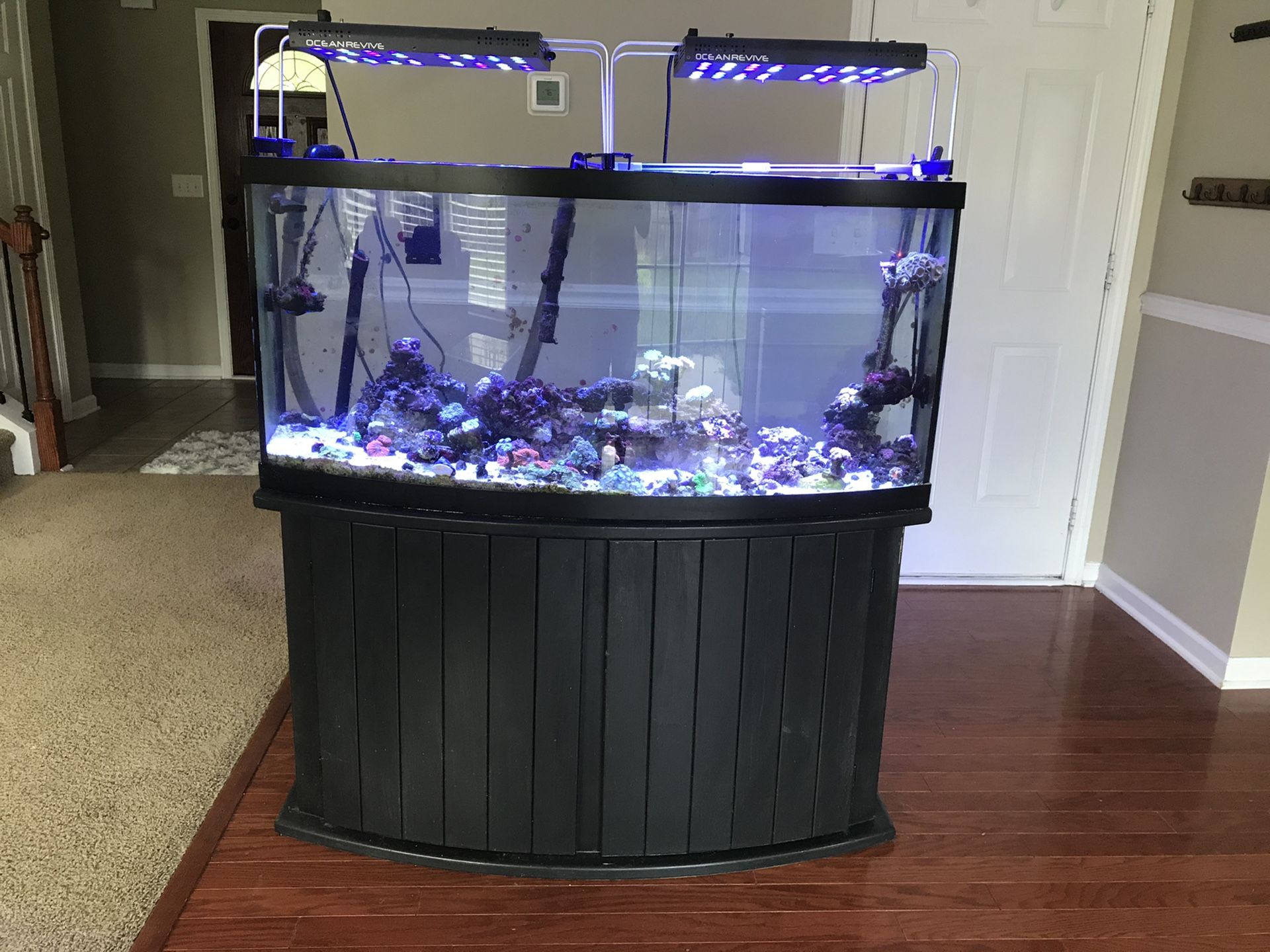 72 gallons fish tank