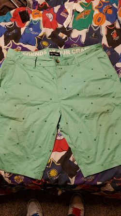 Pink dolphin Teal shorts (36)