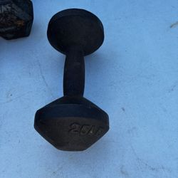 25lbs Dumbbell Only One Available 