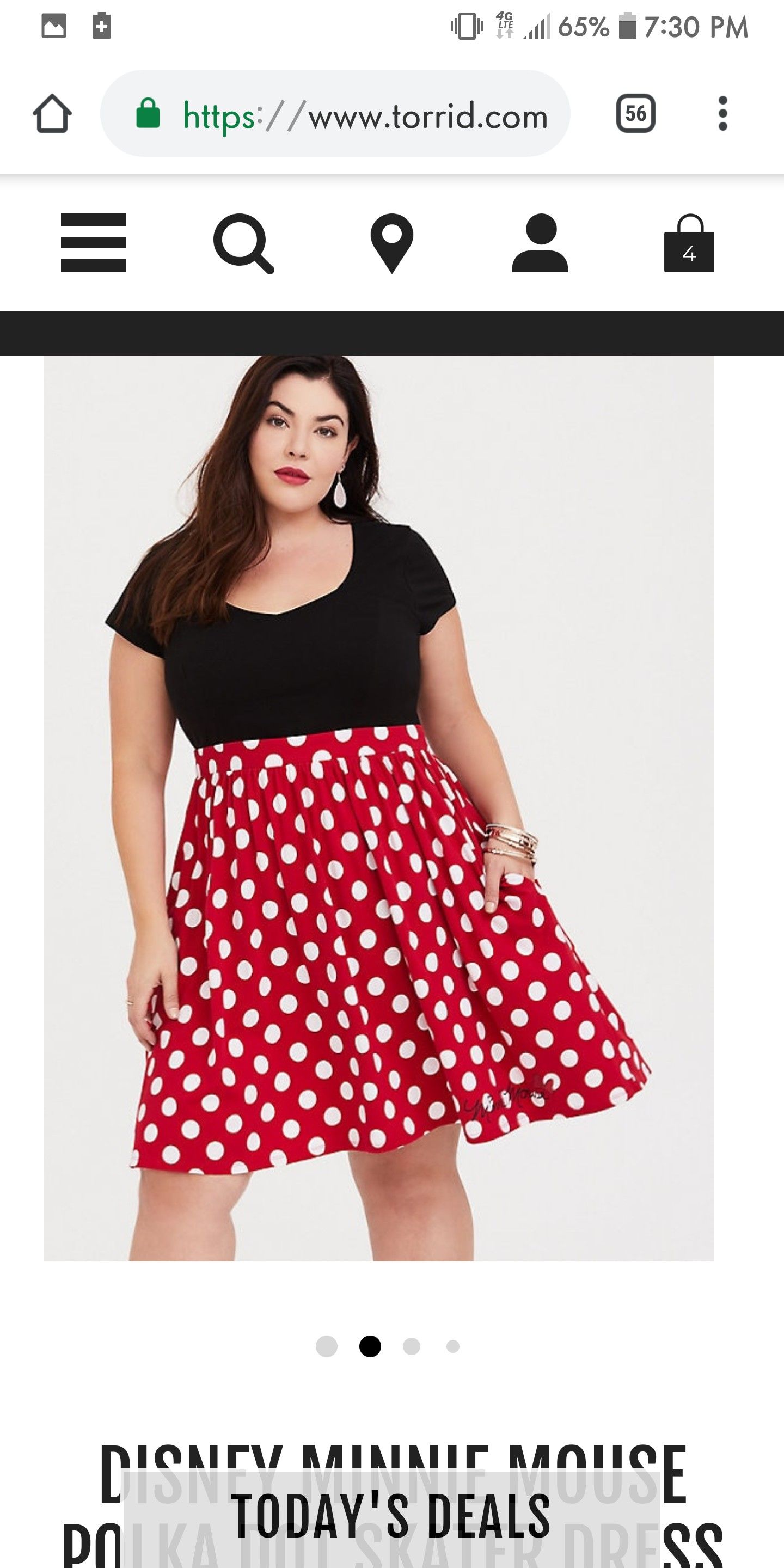Plus Size Minnie Mouse Costume