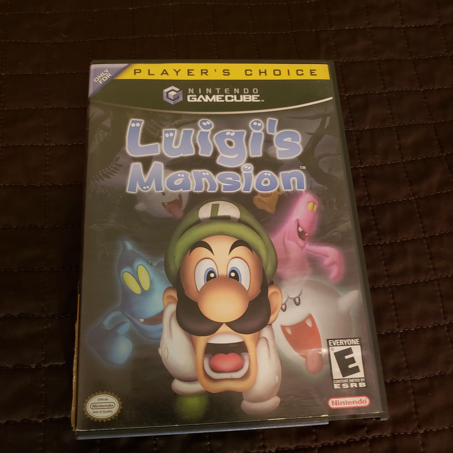 Luigi's Mansion