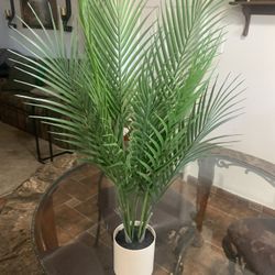 Fake Plant
