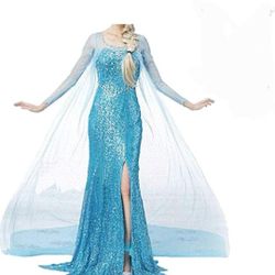 Elsa Frozen Princess Adult Women Coronation Dress Costume Cosplay …
