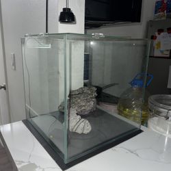 Square Fish Tank w Decor