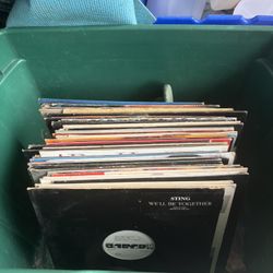 Record Bundle 