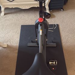 Sunny Stationary Bike