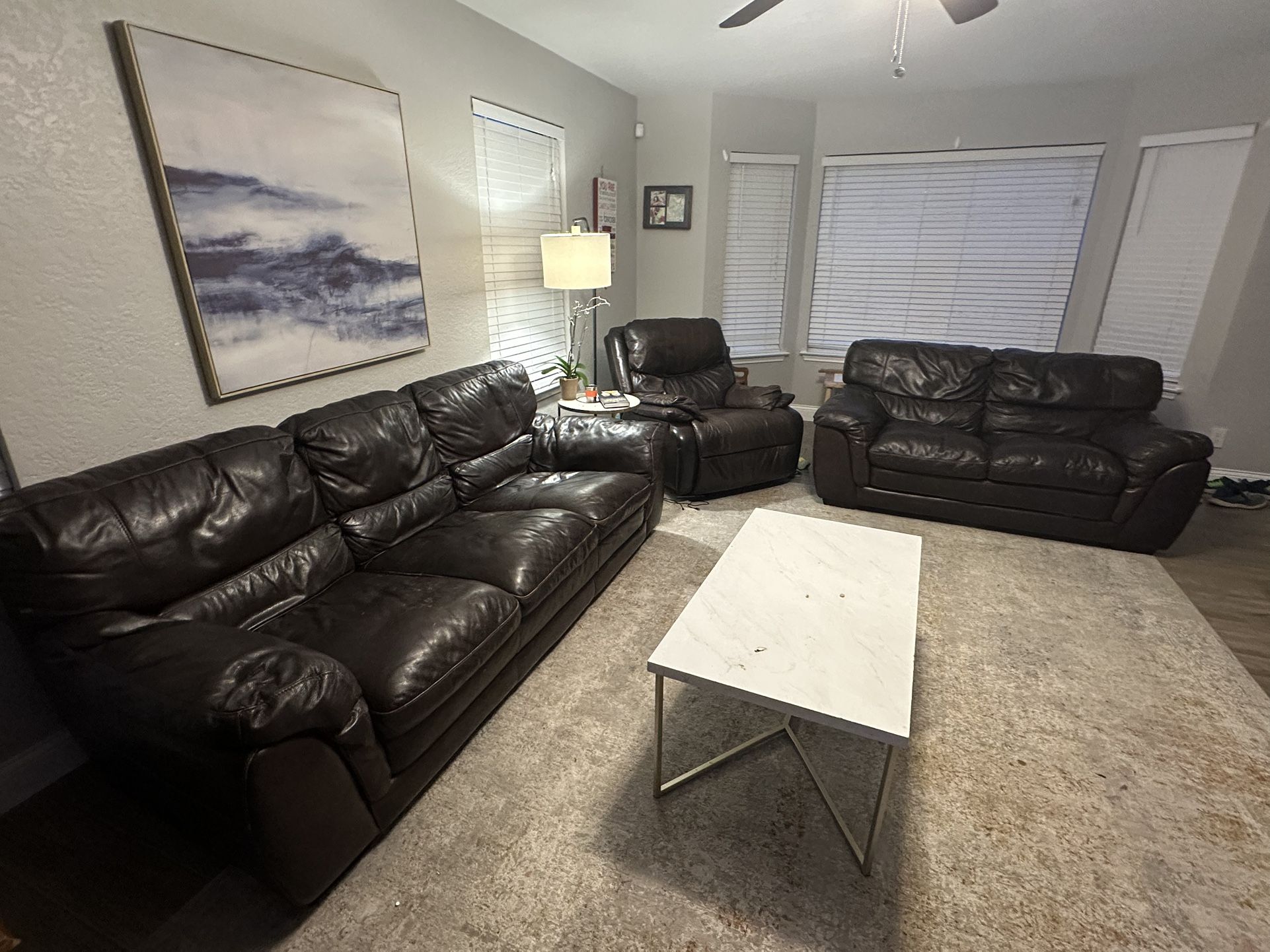 Leather Couches